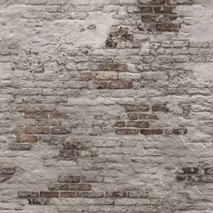 Dutch Wallcoverings Fotobehang Old Brick Wall Grijs