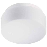 RZB 21101.002 - Ceiling-/wall luminaire 1x75W 21101.002