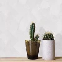 ART FOR THE HOME WOW - Vliestapete - Basic stuc off Weiss - 10m x 52cm