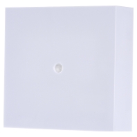 Trilux ZAE 01 - Accessory for surface mounted luminaire ZAE 01