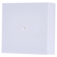 TRILUX Deckenanschlussdose ZAE 01 - 