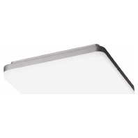 PERFORMANCE IN LIGHTING Spittler LED-Wand-u. Deckenleuchte 3105558