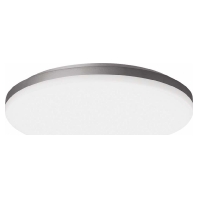 PERFORMANCE IN LIGHTING Spittler LED-Wand-u. Deckenleuchte 3105559