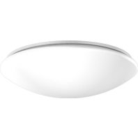 RZB LED-Decken-/Wandleuchte 311945.002.1