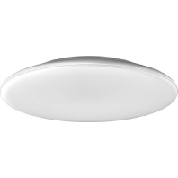 RZB 221175.002.2 - Ceiling-/wall luminaire 1x18W 221175.002.2