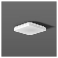 RZB 221189.002.2 - Ceiling-/wall luminaire 221189.002.2