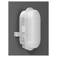 RZB LED-Ovalleuchte 501044.009 - 