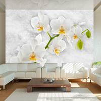 Artgeist Lyrical Orchid White Vlies Fotobehang