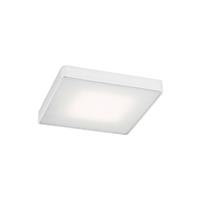 Euluna Plafondlamp Oro van staal en glas, wit, 25cm