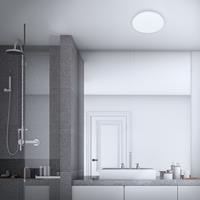 Briloner Leuchten Led-plafondlamp Kalmus