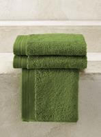 De Witte Lietaer gastendoek Excellence 40x60 cactus