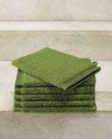 De Witte Lietaer washand Excellence 16x22 cactus