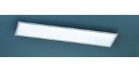 Trio LED Aufbaupanel in Nickel-Matt und Weiß 30W 3000lm 1200x300mm