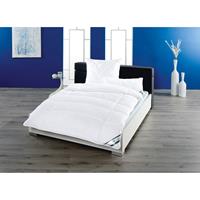 F.a.n. home24 Kissen Klima Active Plus