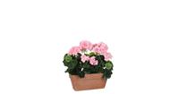 Mica Decorations geranium roze in balkonbak terra maat in cm: 29 x 13 x 40 - ROZE