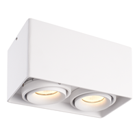 HOFTRONIC™ Dimbare LED Opbouwspot plafond Esto Wit 2 lichts kantelbaar incl. 2x GU10 spot 5W 4000K