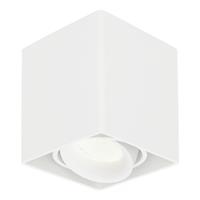 HOFTRONIC™ Dimbare LED Opbouwspot plafond Esto Wit incl. GU10 spot 5W 4000K IP20 kantelbaar