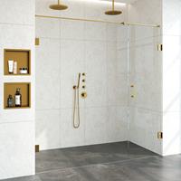 Sanituba Complete Profielloze Nisdeur 2-delig 200cm met 60cm deur goud geborsteld