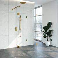 Sanituba Complete Profielloze Inloopdouche Reversed 100x100/40cm goud geborsteld