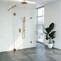 Sanituba Complete Profielloze Inloopdouche Reversed 100x140/30cm goud geborsteld