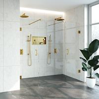 Sanituba Complete Profielloze Niscabine XL 220x200cm met 60cm deuren goud geborsteld