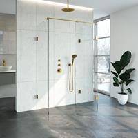 Sanituba Complete Profielloze Inloopdouche XL 80x120cm goud geborsteld