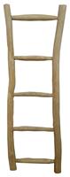 Artistiq Living Artistiq Ladder 'Teak' 150cm