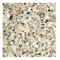 Terre d'Azur Terre d´Azur Granito terrazzo vloertegel bologna 40x40 gerectificeerd