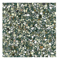 Terre d'Azur Terre d´Azur Granito terrazzo vloertegel firenze 40x40 gerectificeerd