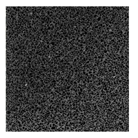 Terre d'Azur Terre d´Azur Granito terrazzo vloertegel milaan 40x40 gerectificeerd