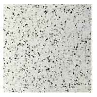 Terre d'Azur Terre d´Azur Granito terrazzo vloertegel parma 40x40 gerectificeerd