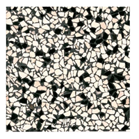 Terre d'Azur Terre d´Azur Granito terrazzo vloertegel pisa 40x40 gerectificeerd