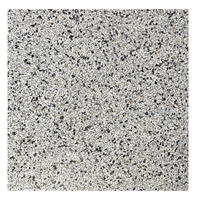 Terre d'Azur Terre d´Azur Granito terrazzo vloertegel treviso 40x40 gerectificeerd