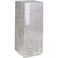 Plantenwinkel.nl Plantenzuil Silver leaf M 30x30x80 cm