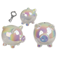 Out of the blue Shiny Piggy Spaarpot Met Slot
