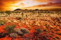 Australian Landscape Vlies Fotobehang 375x250cm 5-banen