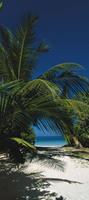 Komar To the Beach Fototapete 97x220cm