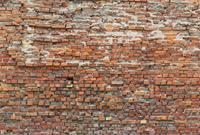 Komar Bricklane Vlies Fototapete 368x248cm