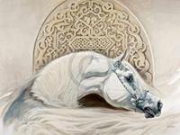 PGM Renato Casaro - Arabian Pride Kunstdruk 80x60cm