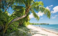 Komar Fiji Dreams Boat Vlies Fotobehang 450x280cm 9-banen