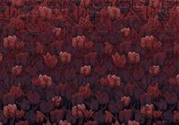 Komar Tulipe Vlies Fototapete 400x280cm 8-Bahnen