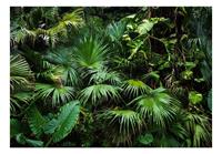 Sunny Jungle Vlies Fotobehang 100x70cm