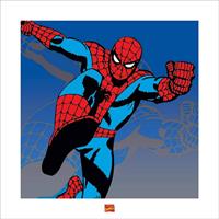 Spider-man Marvel Kunstdruk 40x40cm