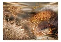 Artgeist Dandelions World Gold Vlies Fotobehang 350x245cm
