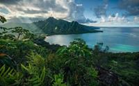 Komar Jurassic Island Vlies Fotobehang 450x280cm 9-banen