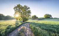 Komar A New Day in Paradise Vlies Fototapete 400x250cm 4-Bahnen