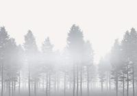 Komar Silver Haze Vlies Fotobehang 400x280cm 8-banen