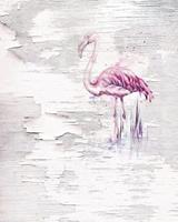 Komar Pink Flamingo Vlies Fototapete 200x250cm 2-Bahnen