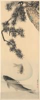 Koi Fotobehang 100x250cm 2-banen