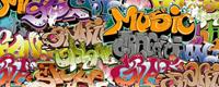 Dimex Graffiti Art Vlies Fotobehang 375x150cm 5-banen